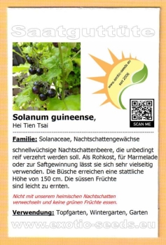 Solanum guineense * 50-1.000 Samen